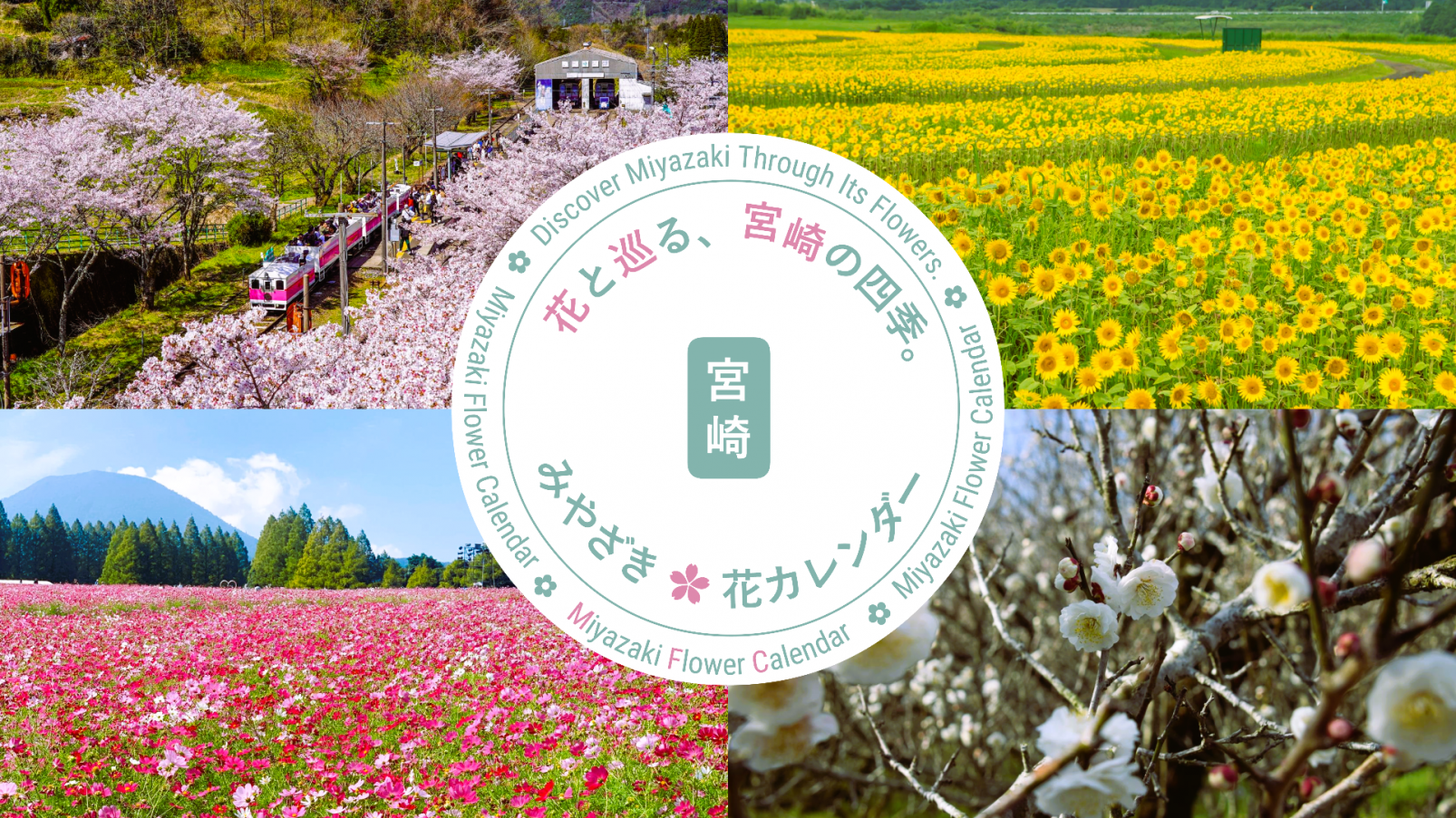 宮崎県の1年間の開花時期や見頃をまとめた特集のヘッダー画像