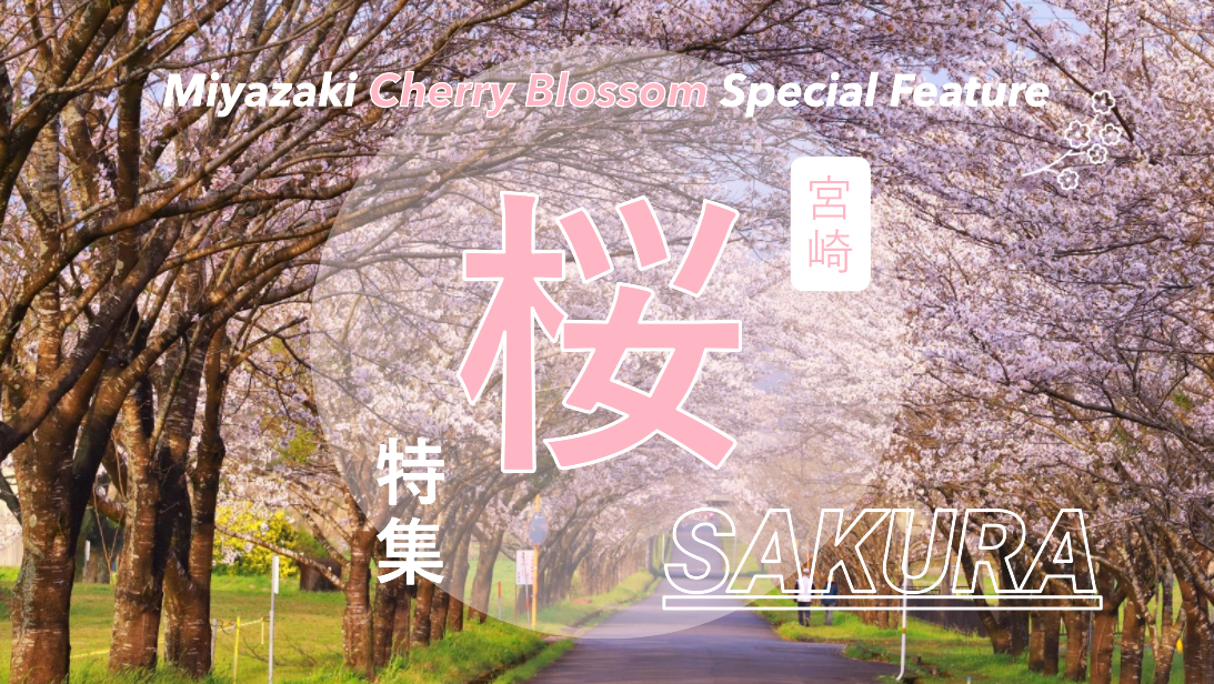 🌸宮崎県おすすめ花見スポット2026｜開花情報・夜桜・桜祭り-1