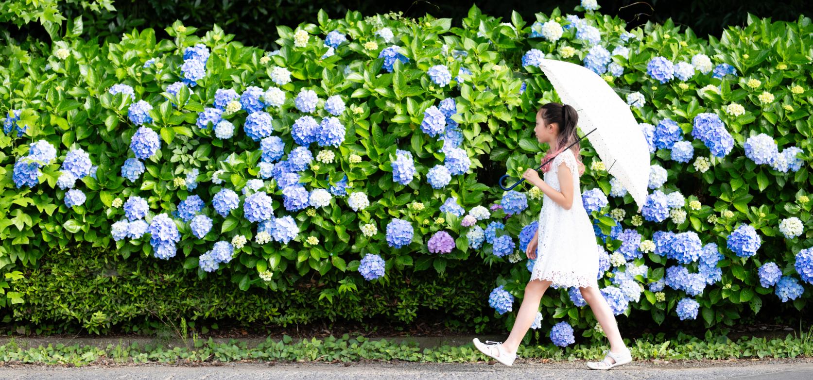 宮崎県内の雨でも楽しめる屋内スポット！-1