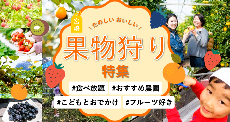【2026年】宮崎の果物狩りおすすめ農園特集｜いちご・キウイ・ぶどう・ブルーベリーなど-1