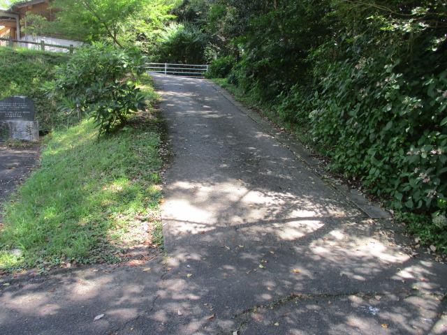 駐車場から本殿までの通路-1