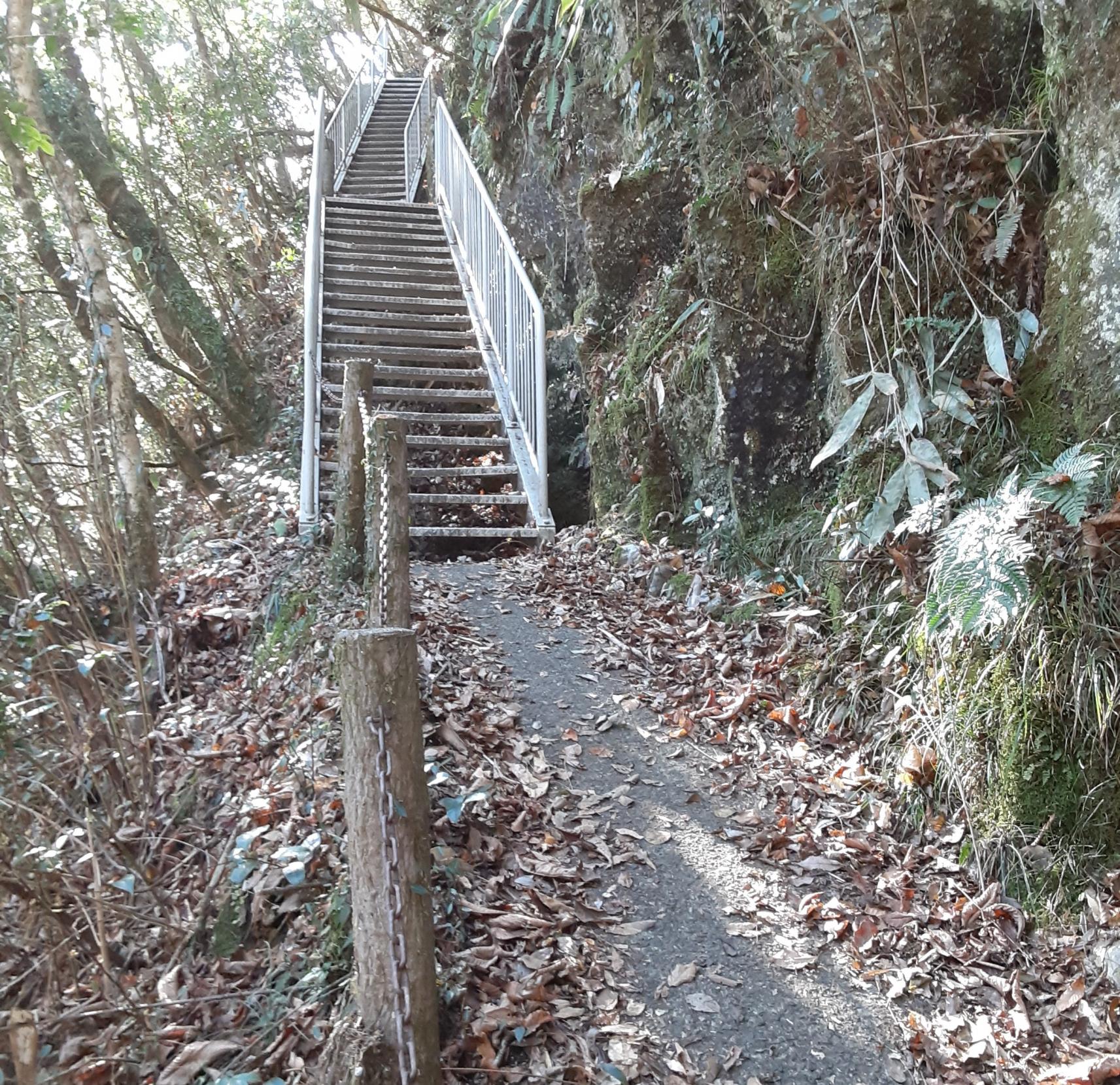 滝つぼまでの遊歩道-0