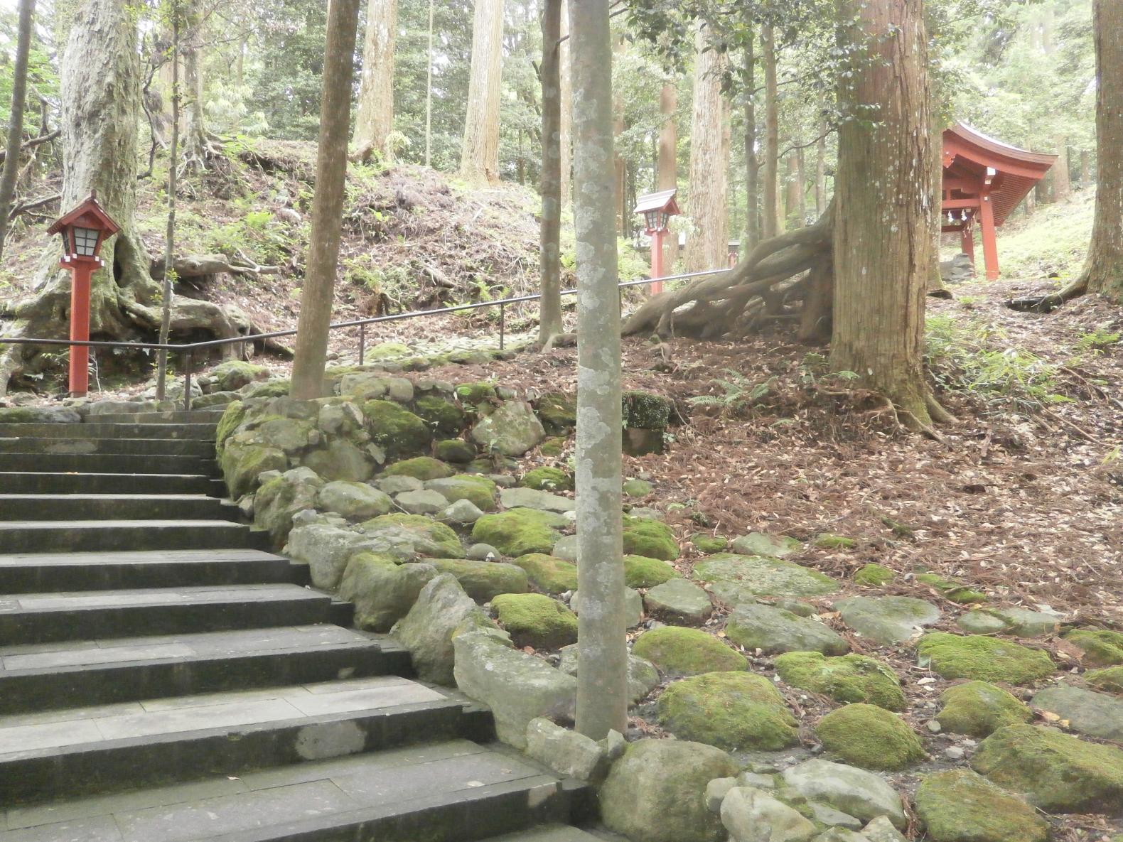 本殿までの階段-0