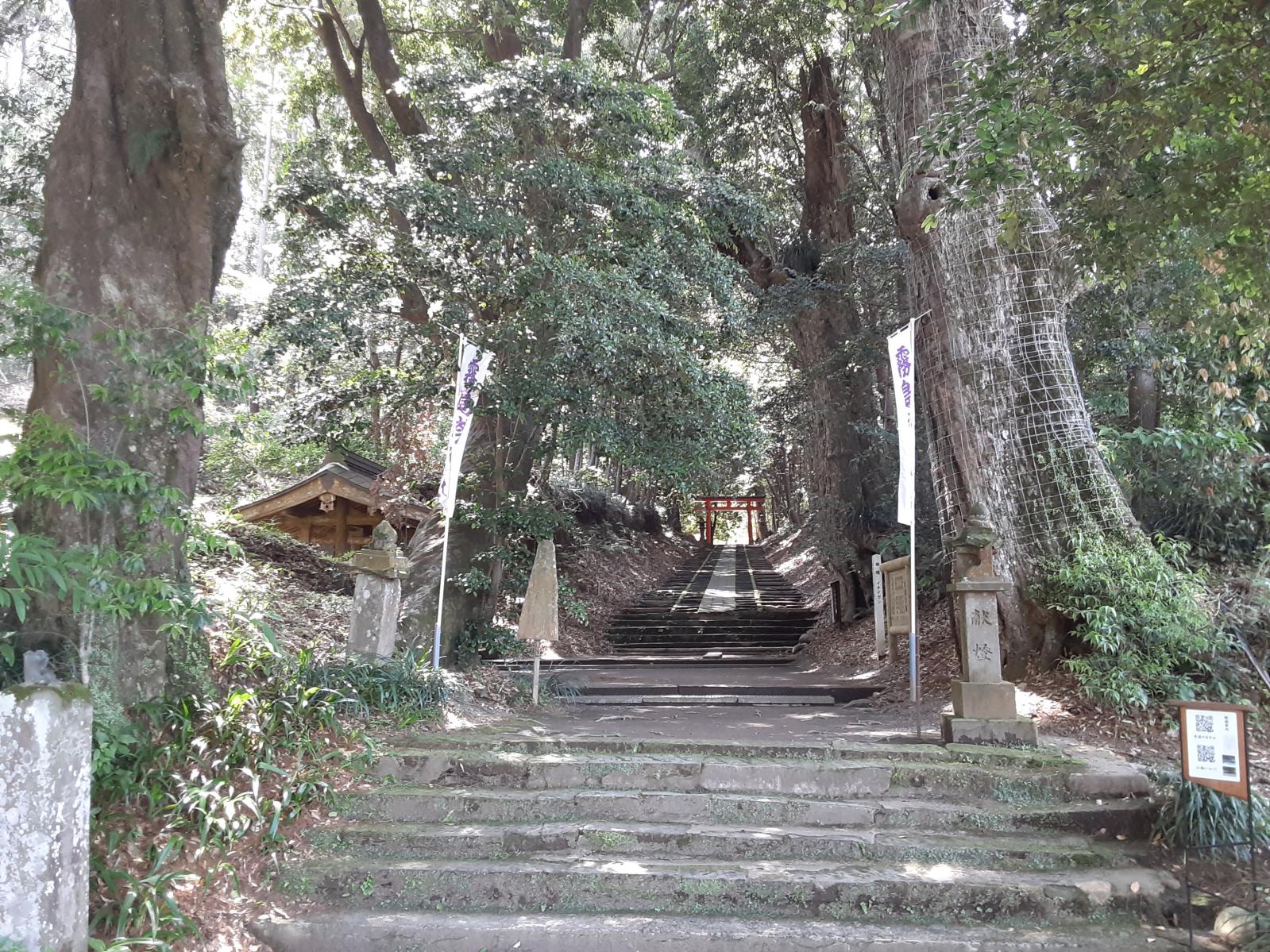 駐車場から本殿までの参道-0