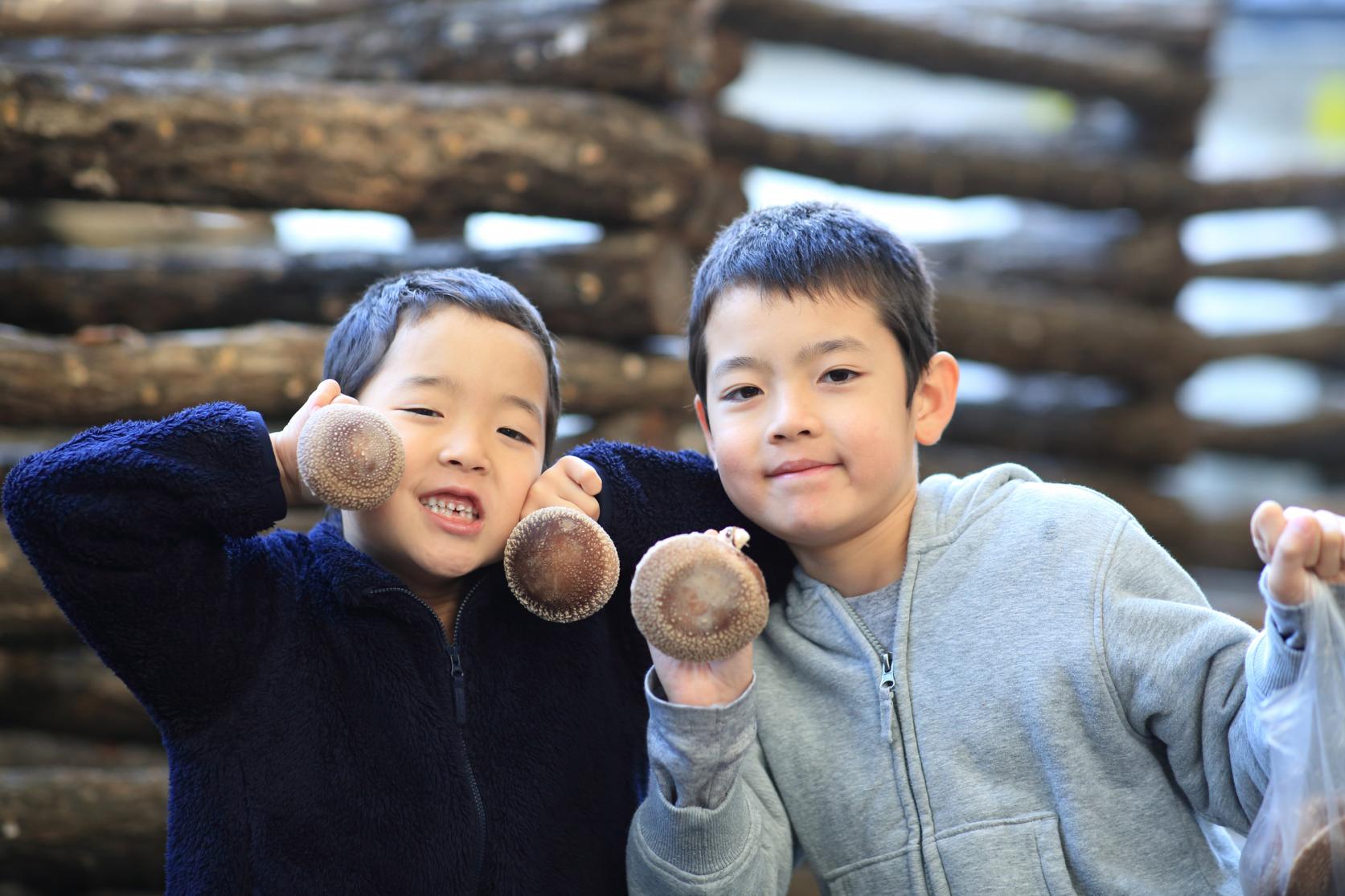 農園のお仕事をお手伝い-0