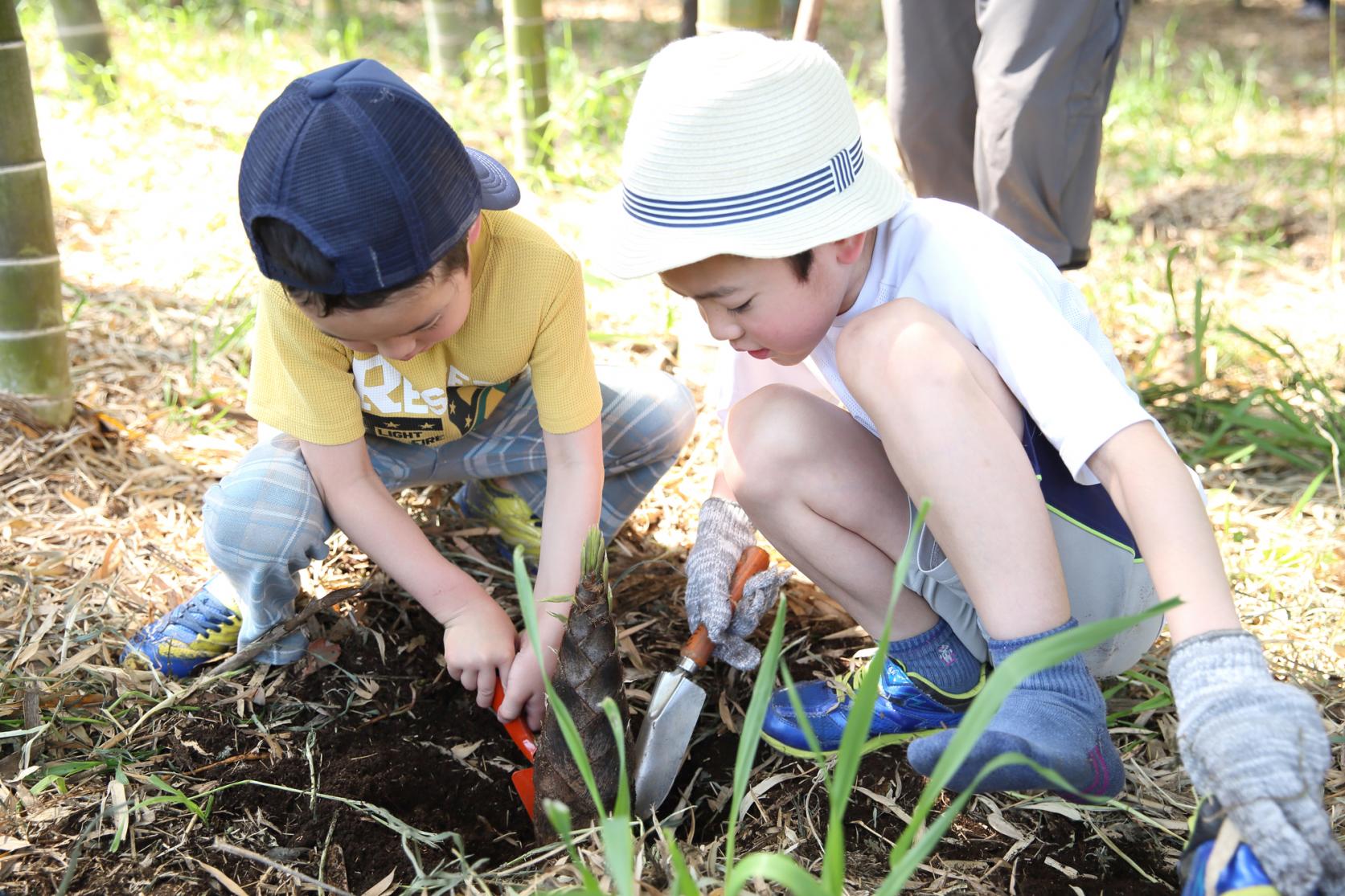 タケノコ堀り体験-1