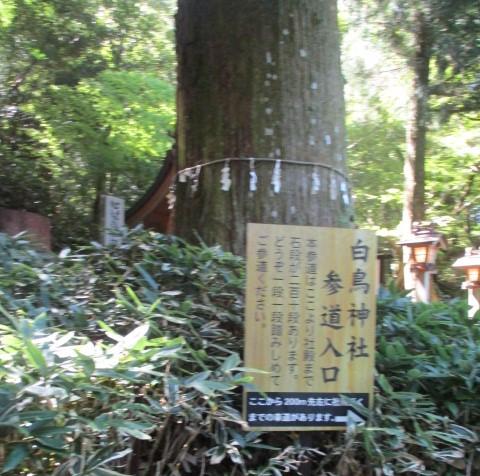 参道入口案内板-1
