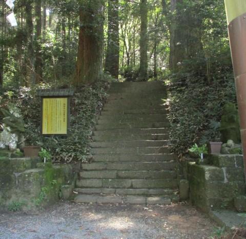 表参道-2