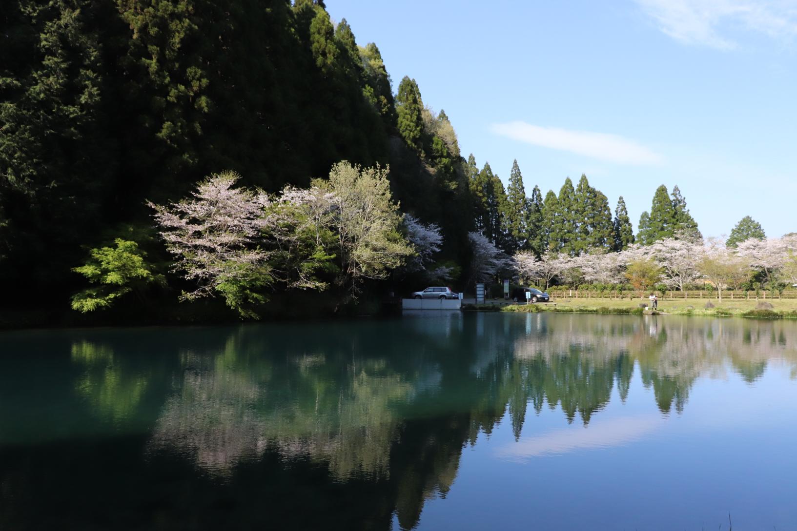 陣の池-2