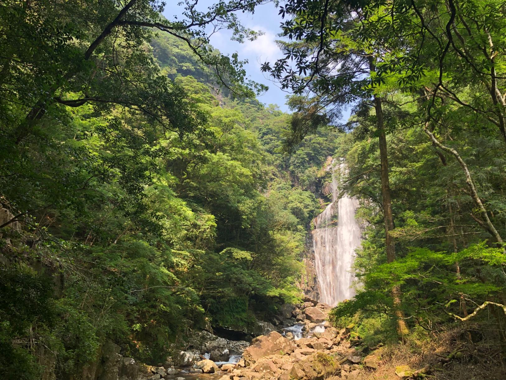 矢研の滝-1
