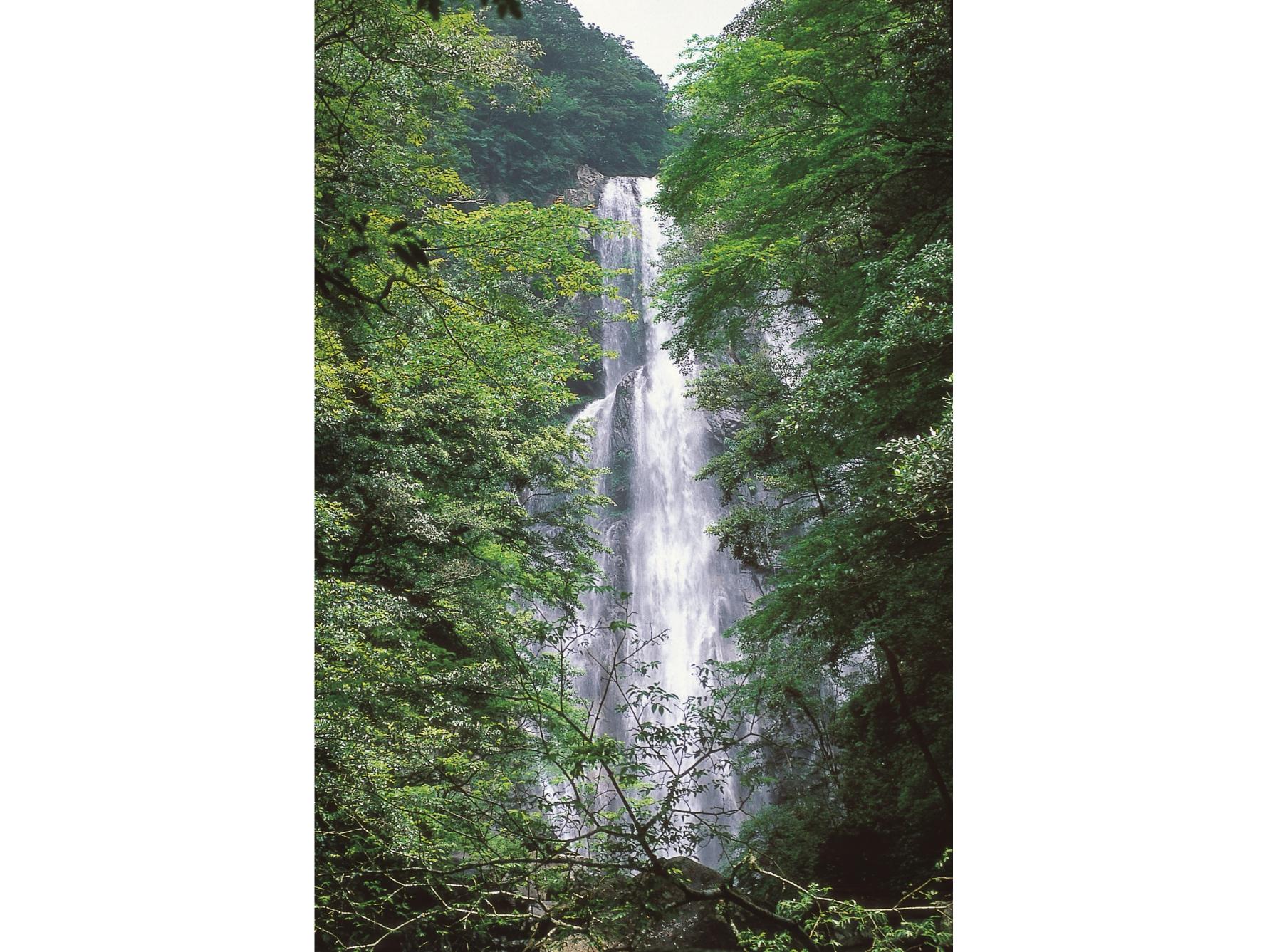 矢研の滝-2