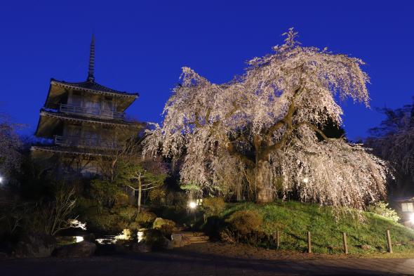 浄専寺-3