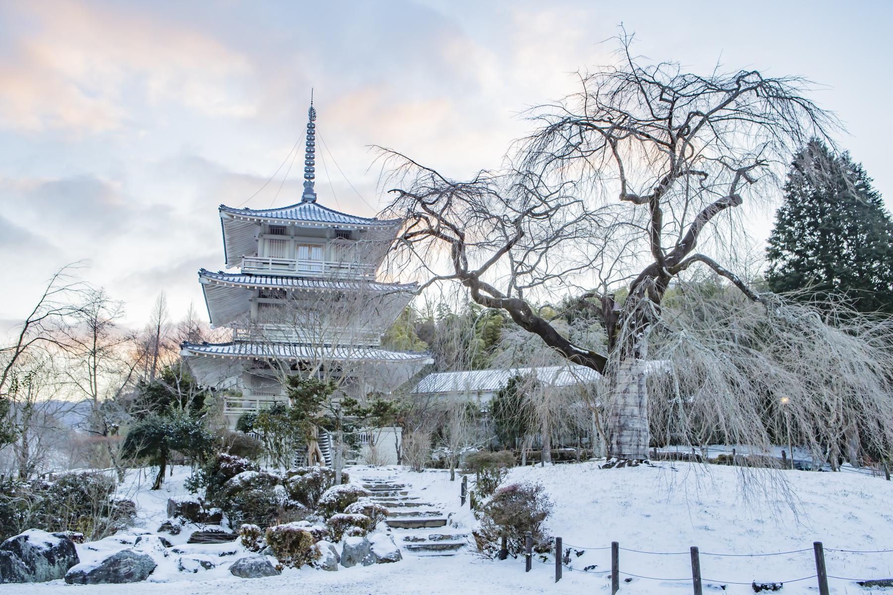 浄専寺-7