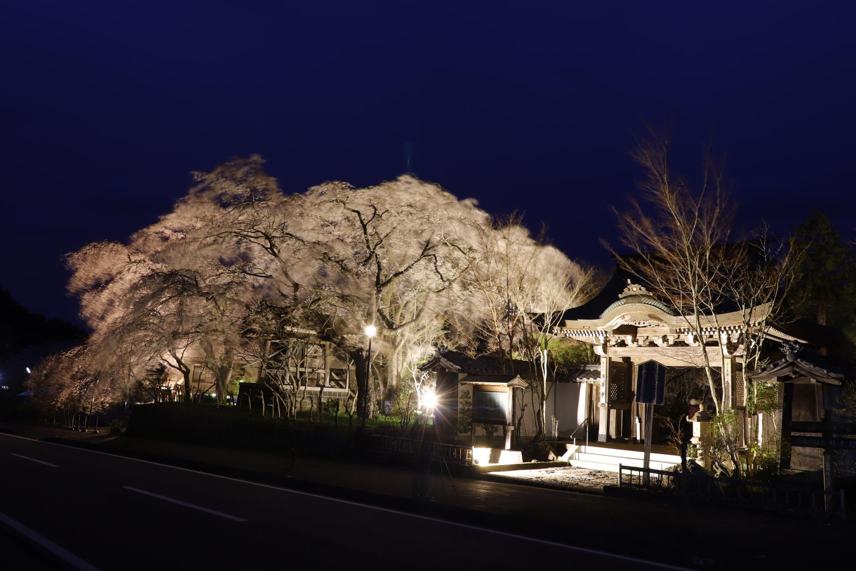 浄専寺-5