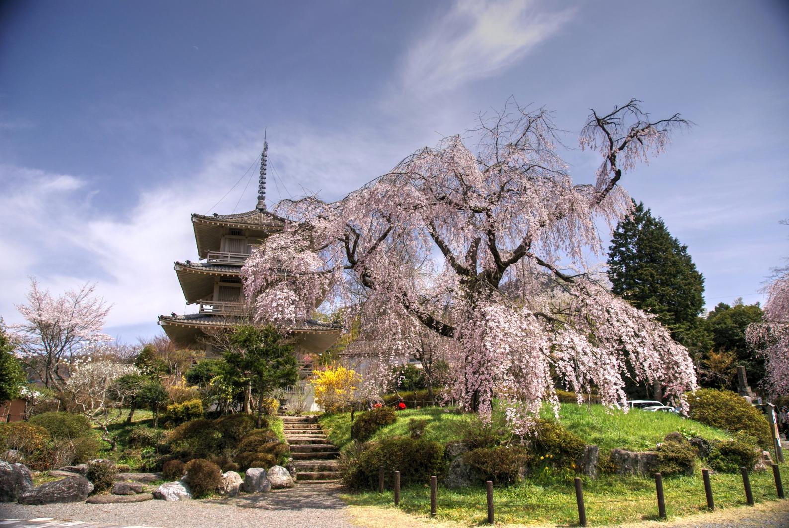 浄専寺-2