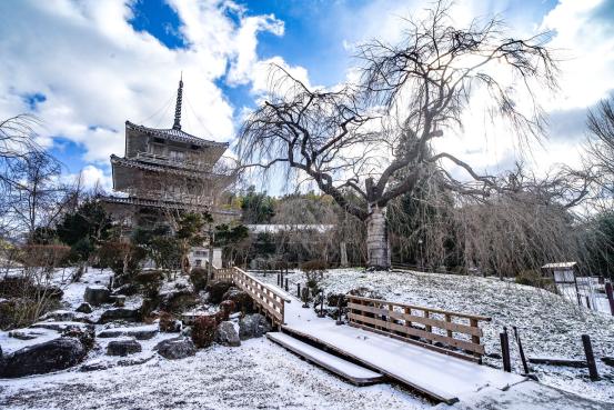 浄専寺-6