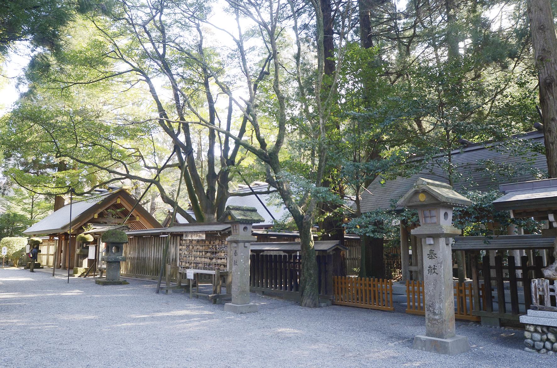 天岩戸神社-8