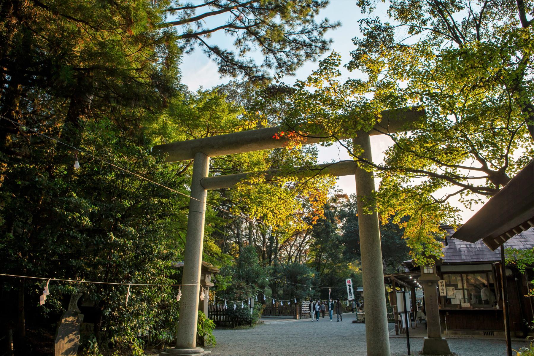 天岩戸神社-4