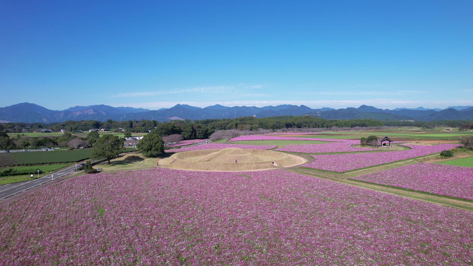 西都原古墳群-5