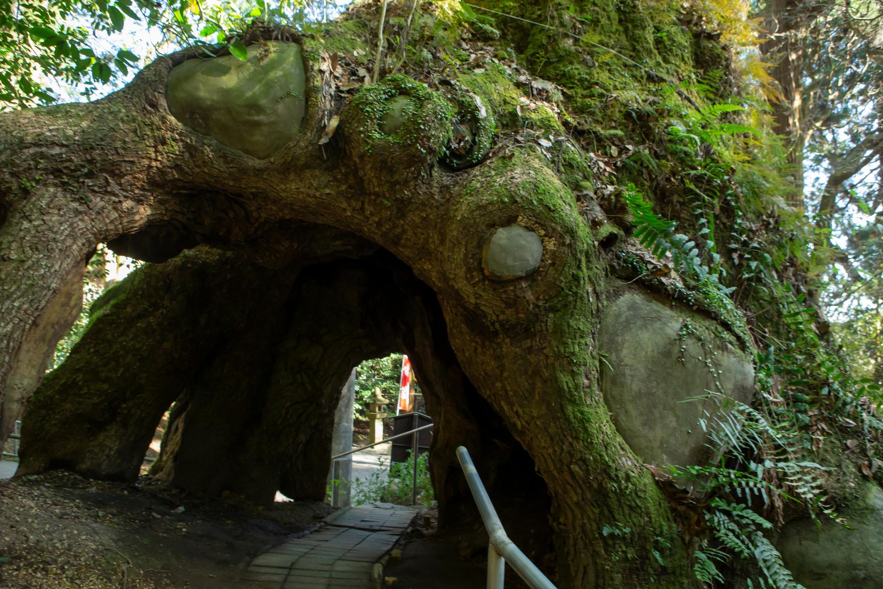 東霧島神社-3