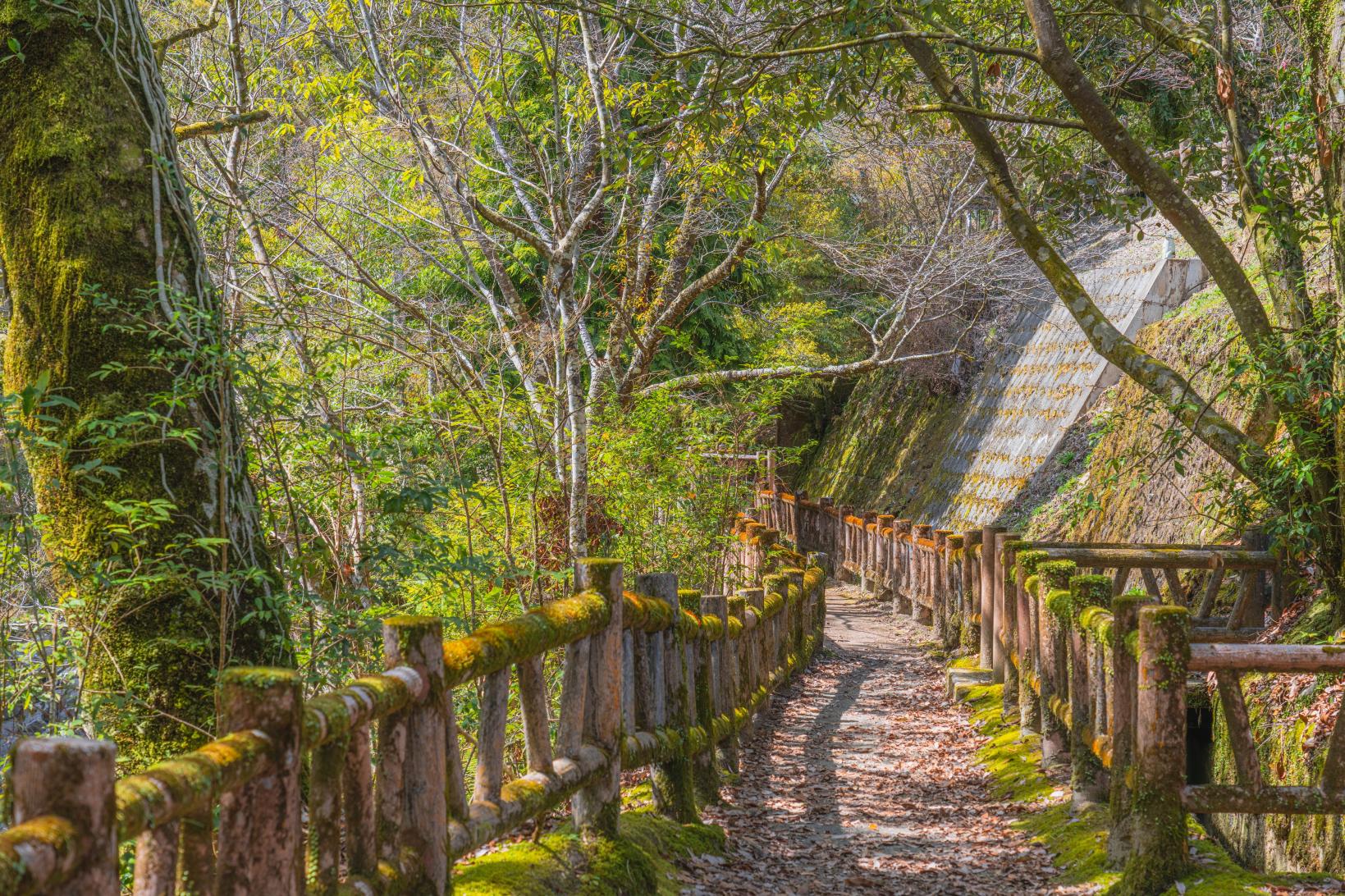 Nagata Gorge-2