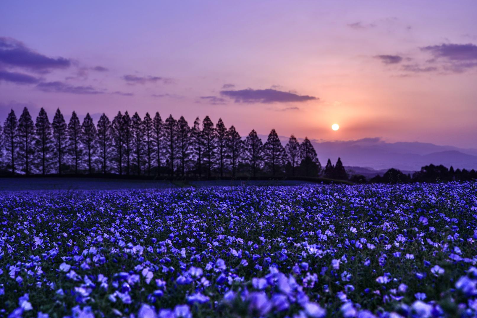 生駒高原-2