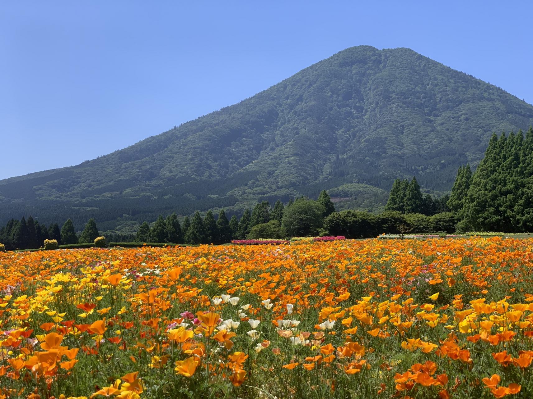  【1日目】生駒高原 