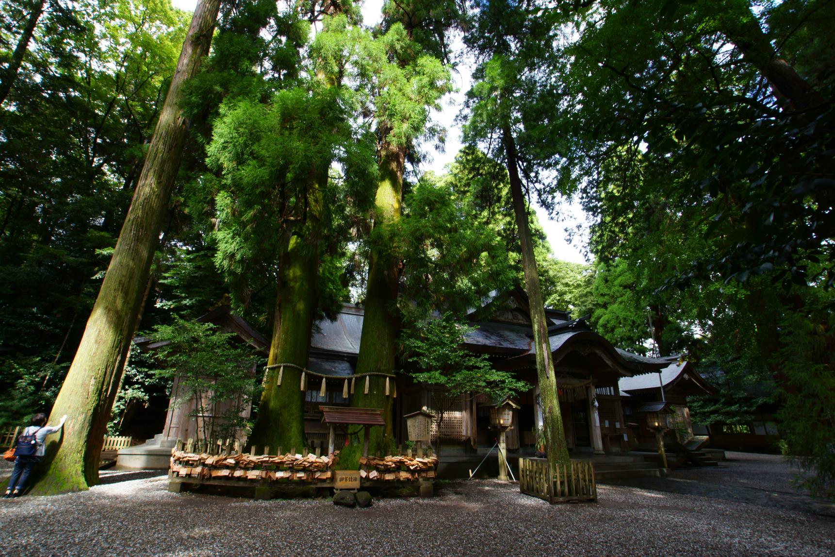 高千穂神社-1