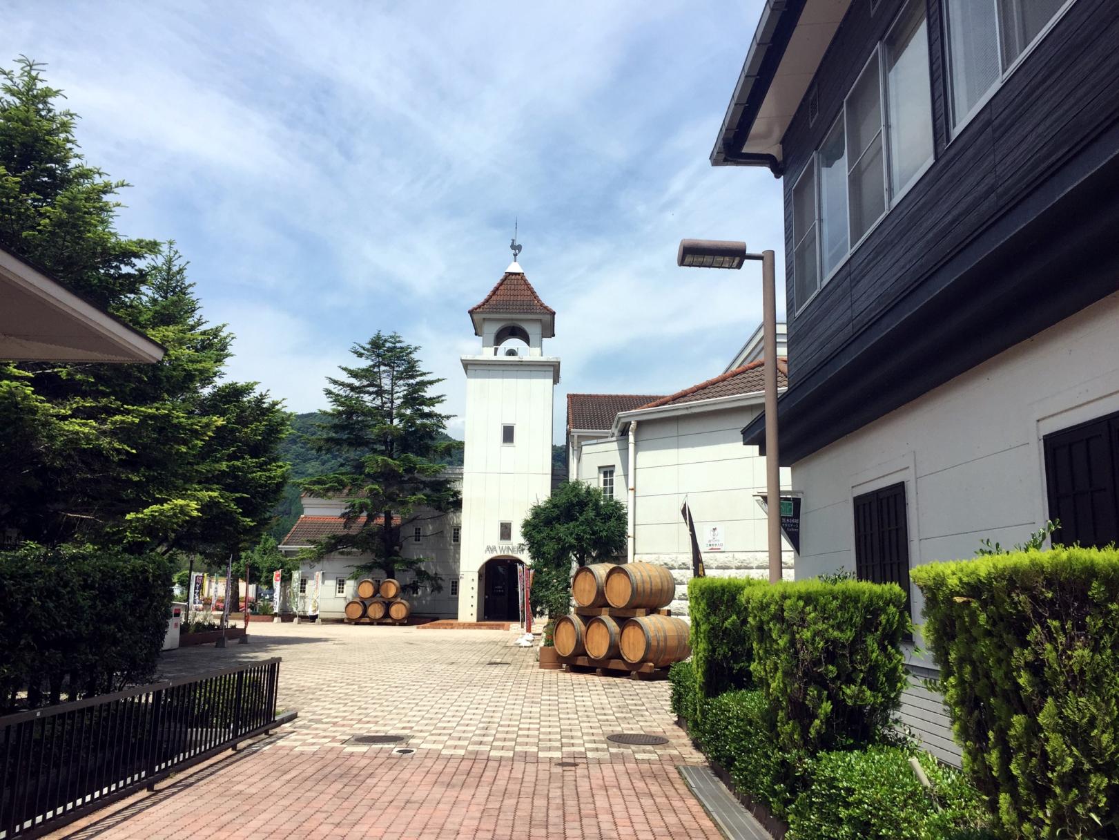藏元 綾 酒泉之杜-1