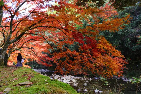 青井岳自然公園-1