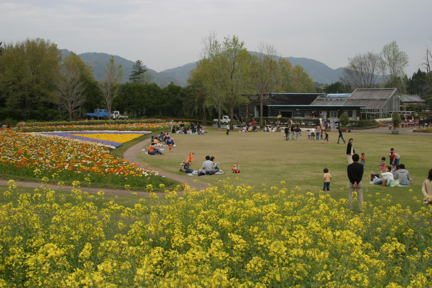 延岡植物園-7