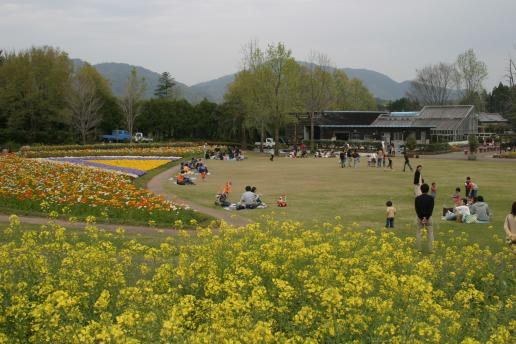 延岡植物園-7