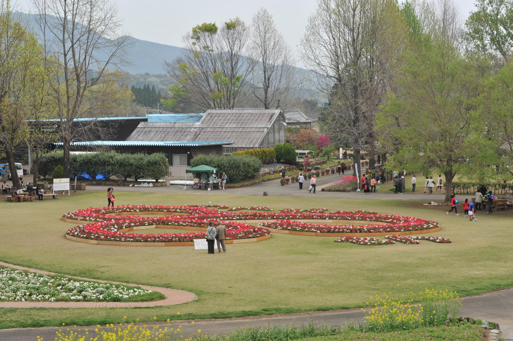 延岡植物園-5