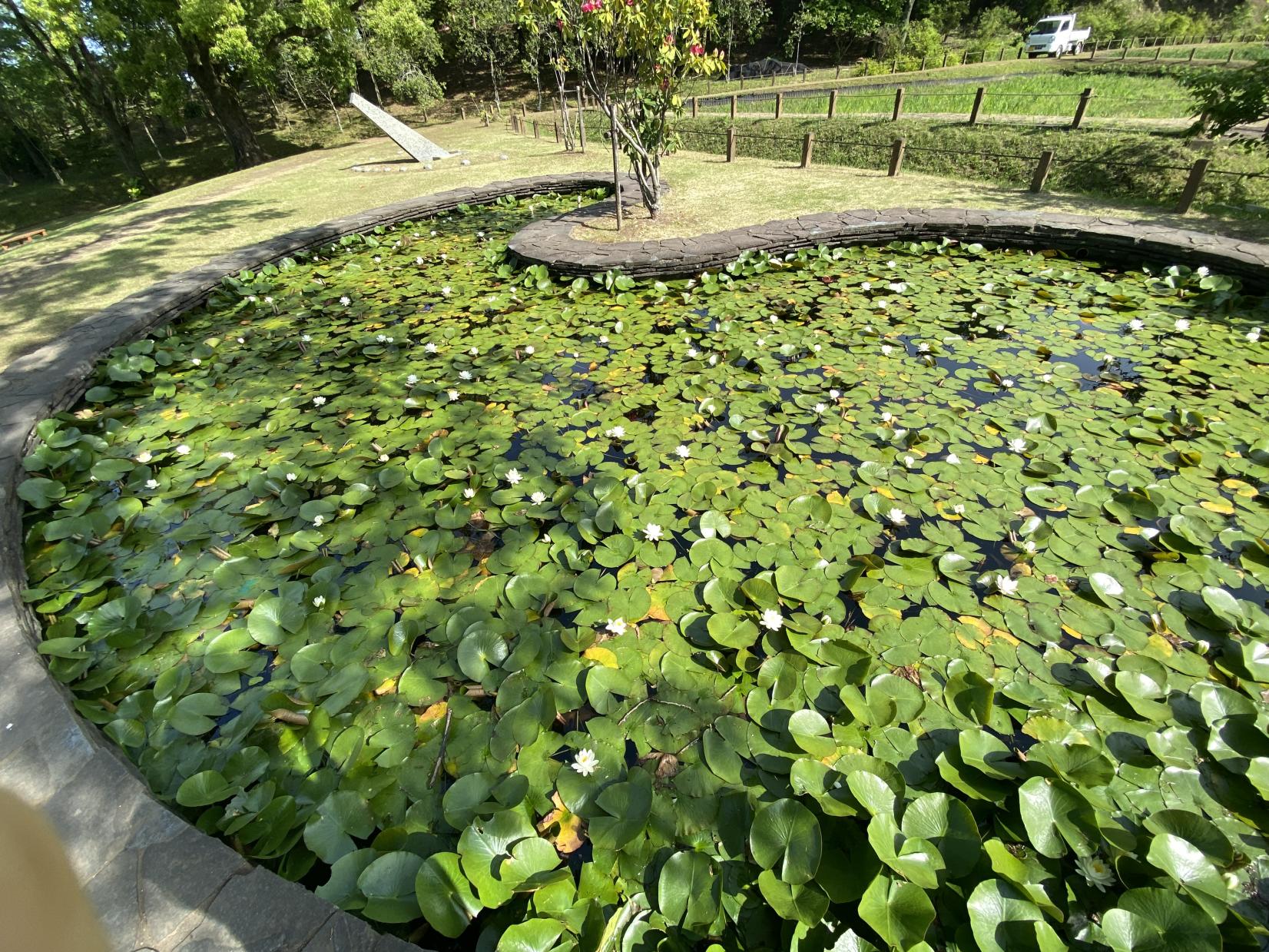 延岡植物園-4