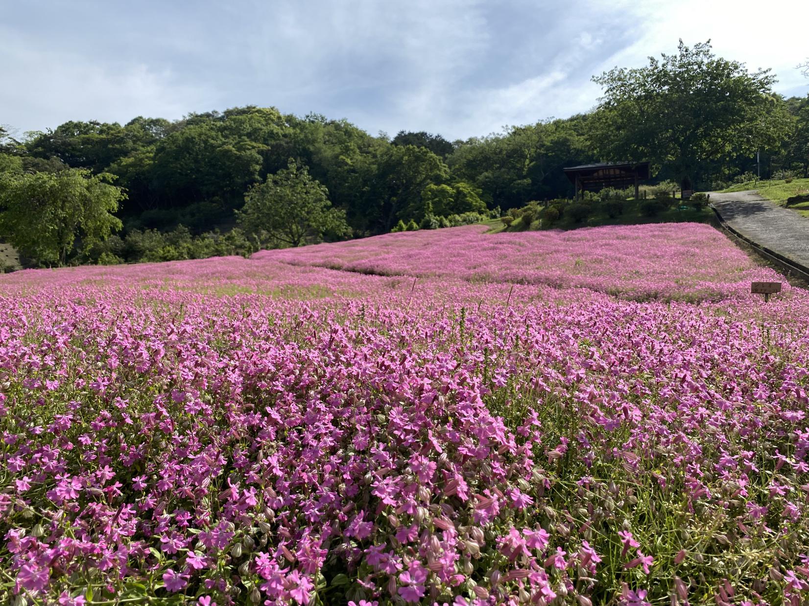 延岡植物園-2