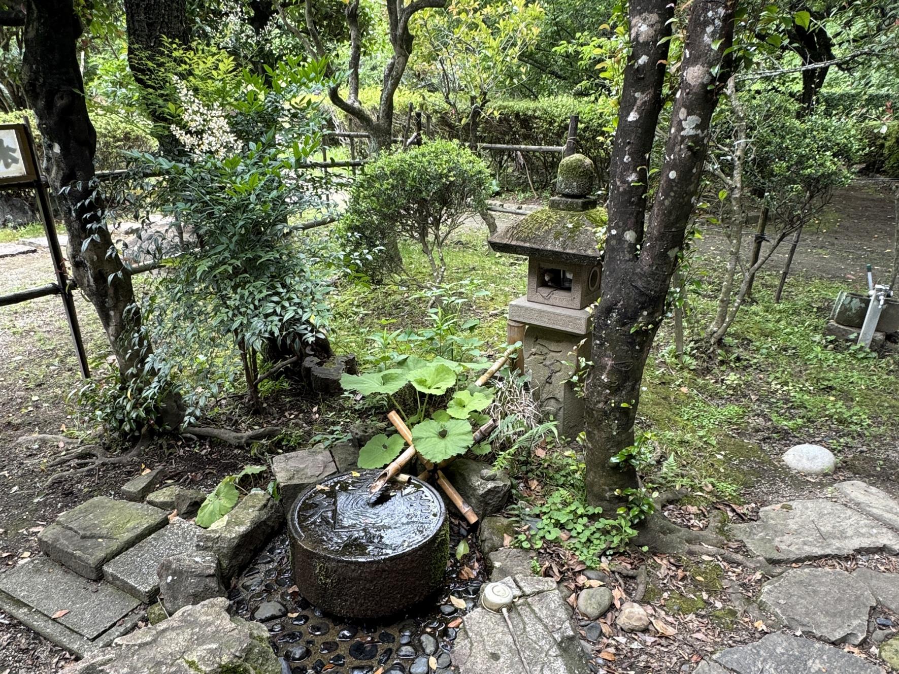 舞鶴公園-10