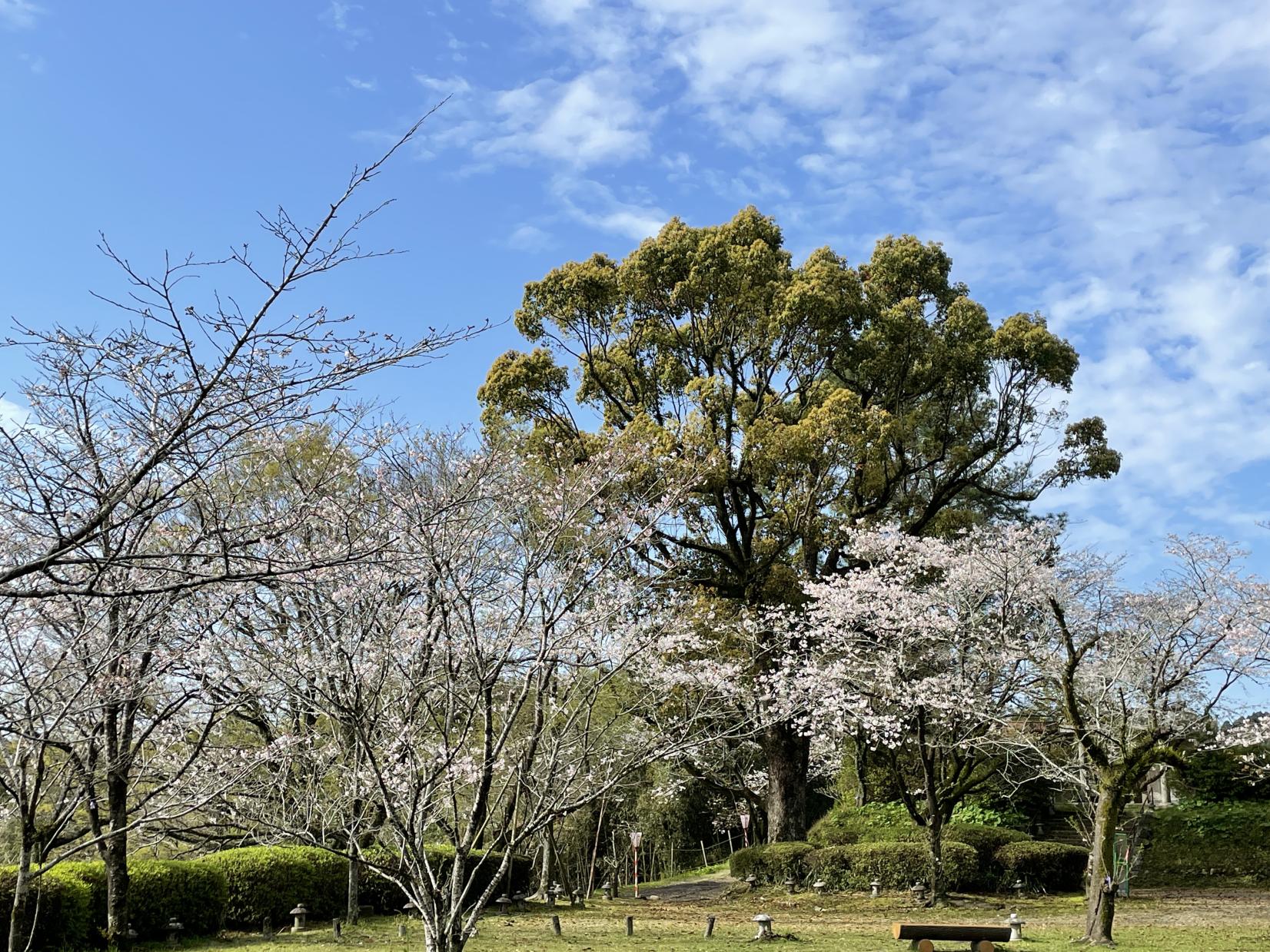 舞鶴公園-5