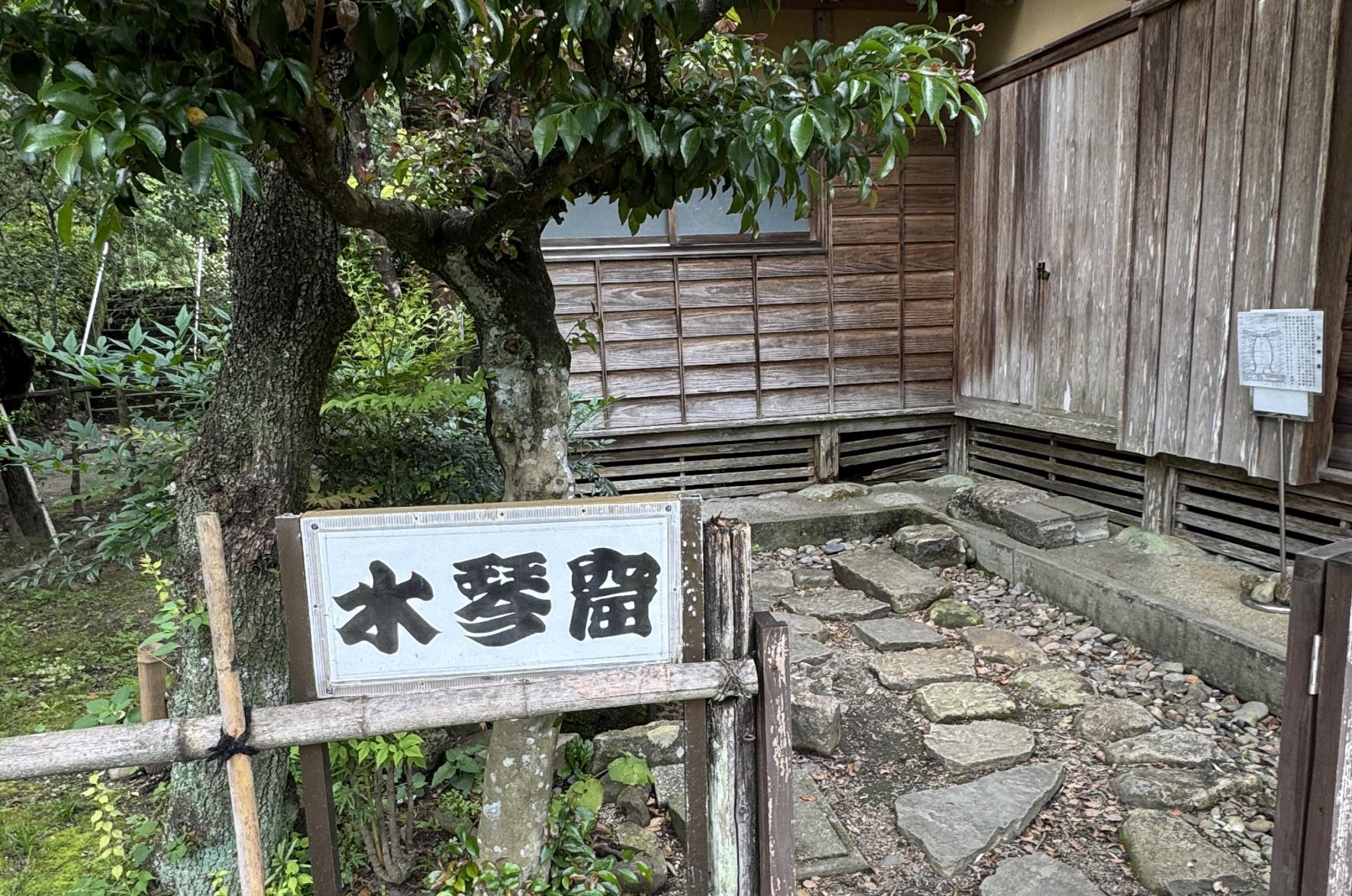 舞鶴公園-9