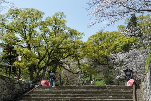 舞鶴公園-4