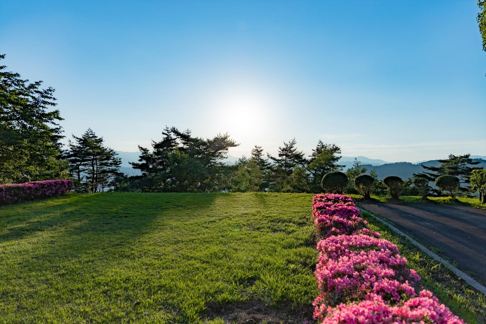 池の窪グリーンパーク-6