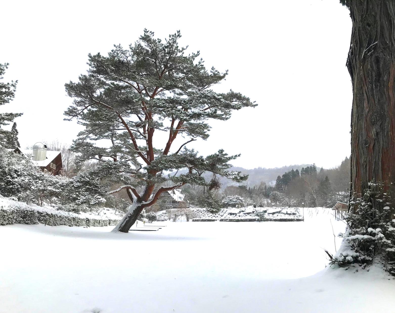 池の窪グリーンパーク-9