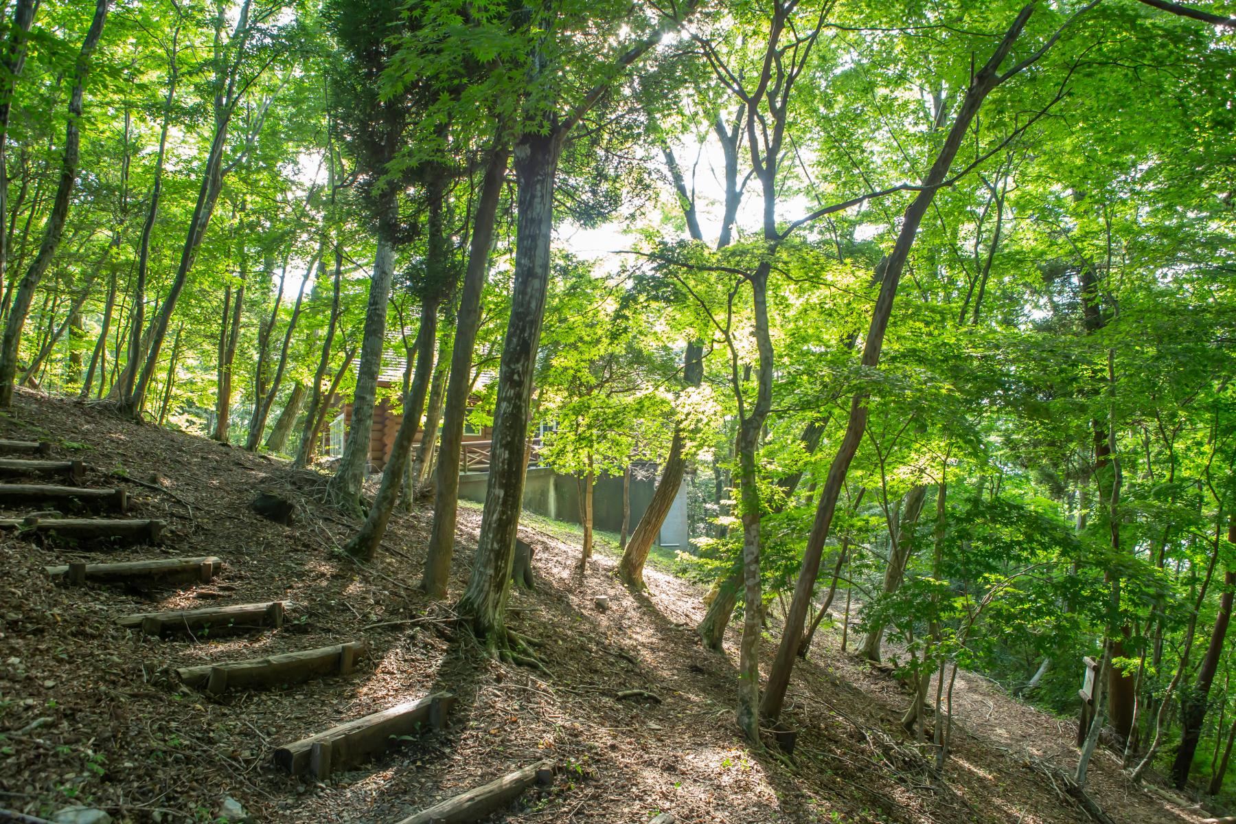 池の窪グリーンパーク-5