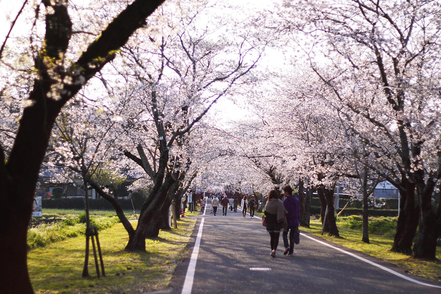 母智丘公園