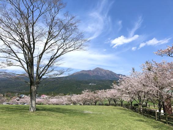 高千穂牧場-1