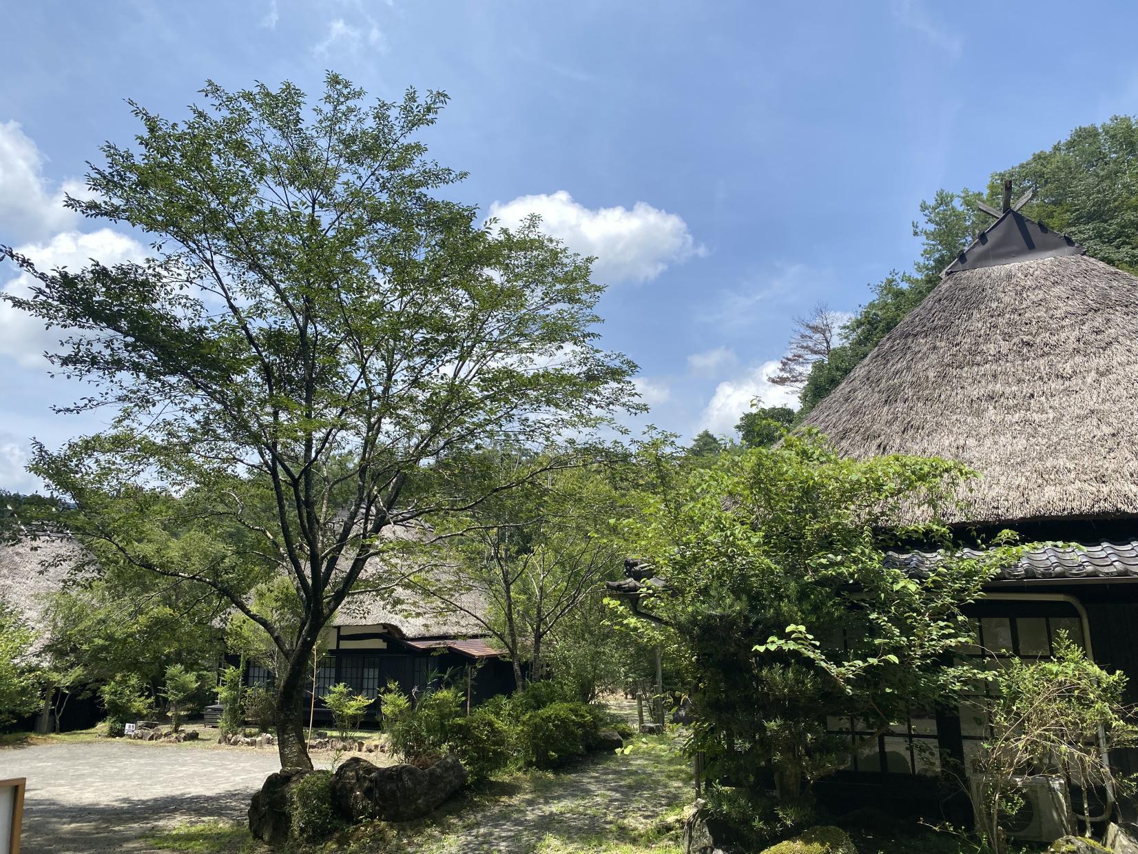 Sukimu Land-2
