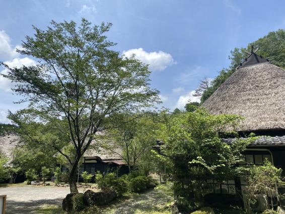 Sukimu Land-2