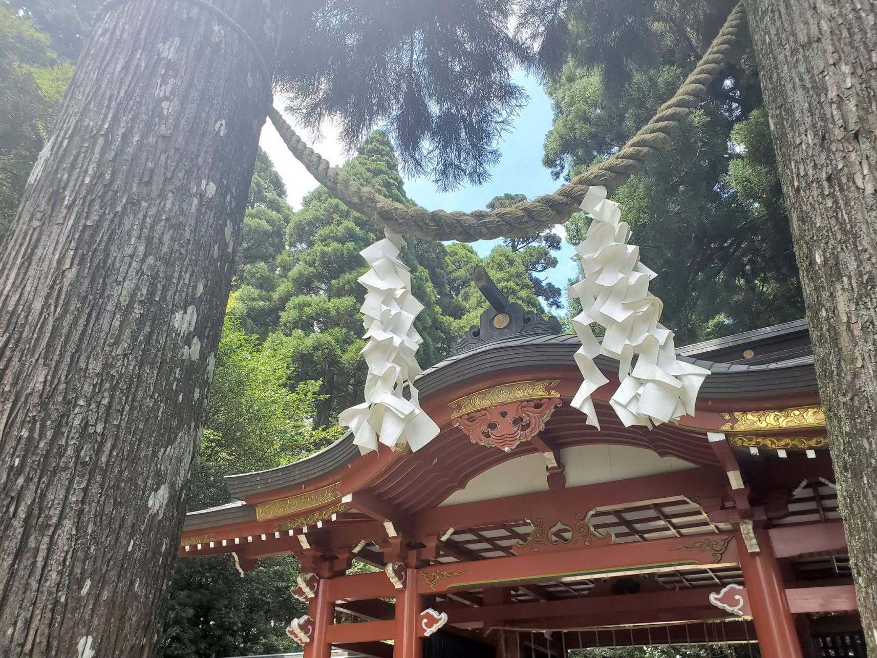 霧島東神社-4