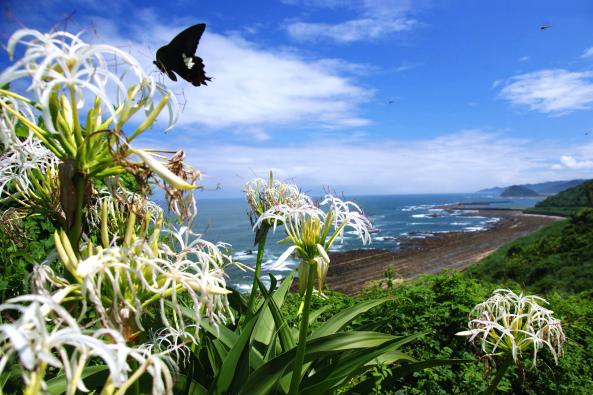 Nichinan Seacoast-9