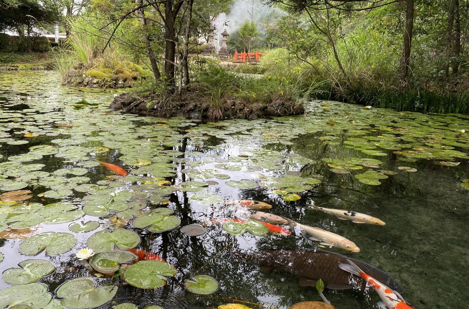 諏訪神社-1