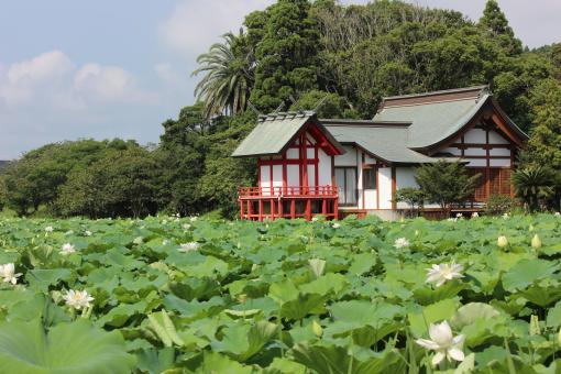 Komizugaike lake, Mizunuma Shrine-3